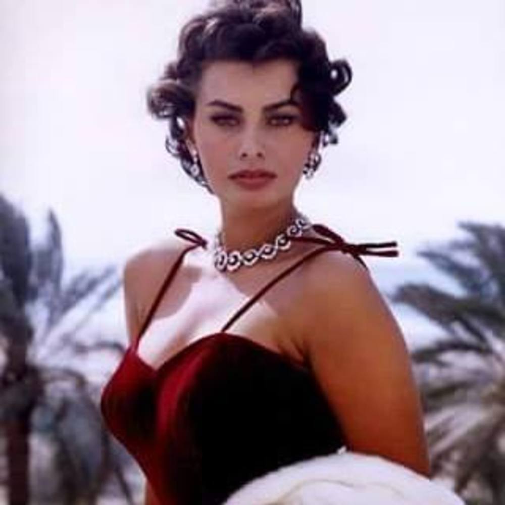 Meet your Posher, Donna